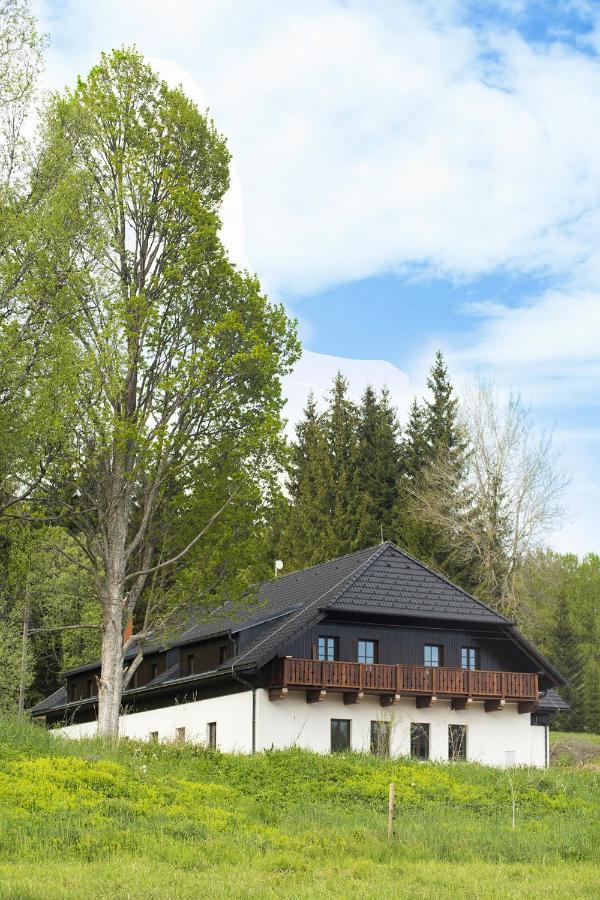 Отель Dvur Liskovy Vrch Стражны Экстерьер фото