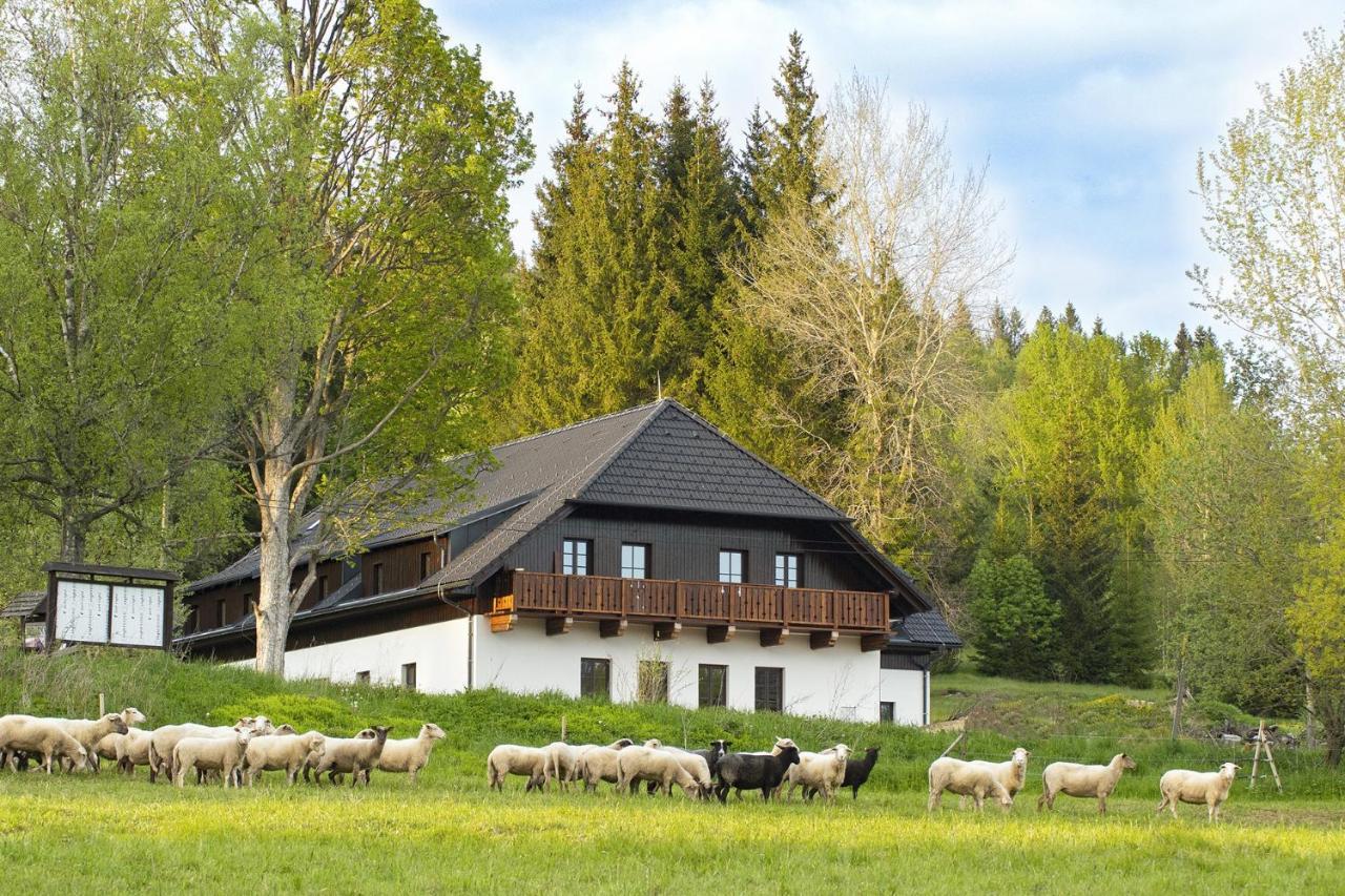 Отель Dvur Liskovy Vrch Стражны Экстерьер фото