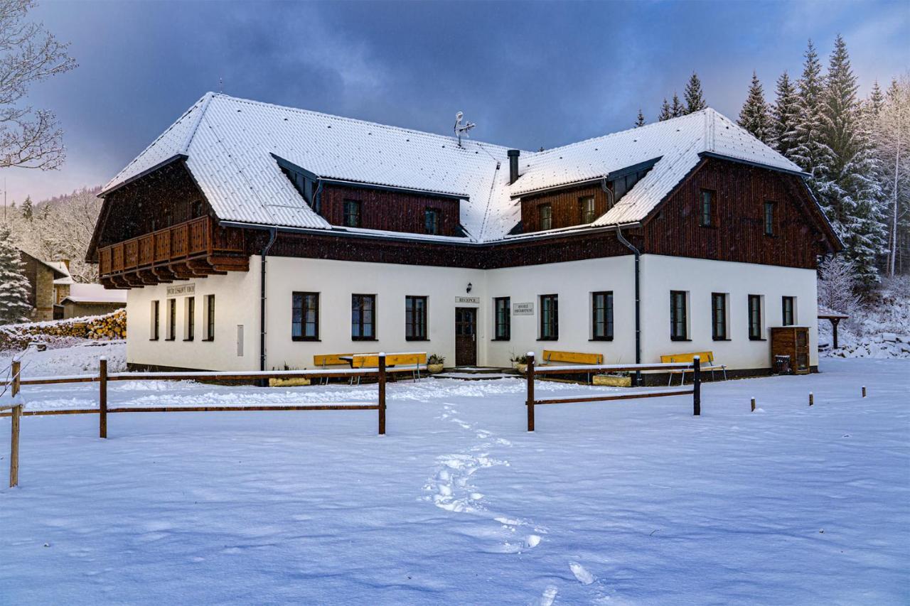 Отель Dvur Liskovy Vrch Стражны Экстерьер фото