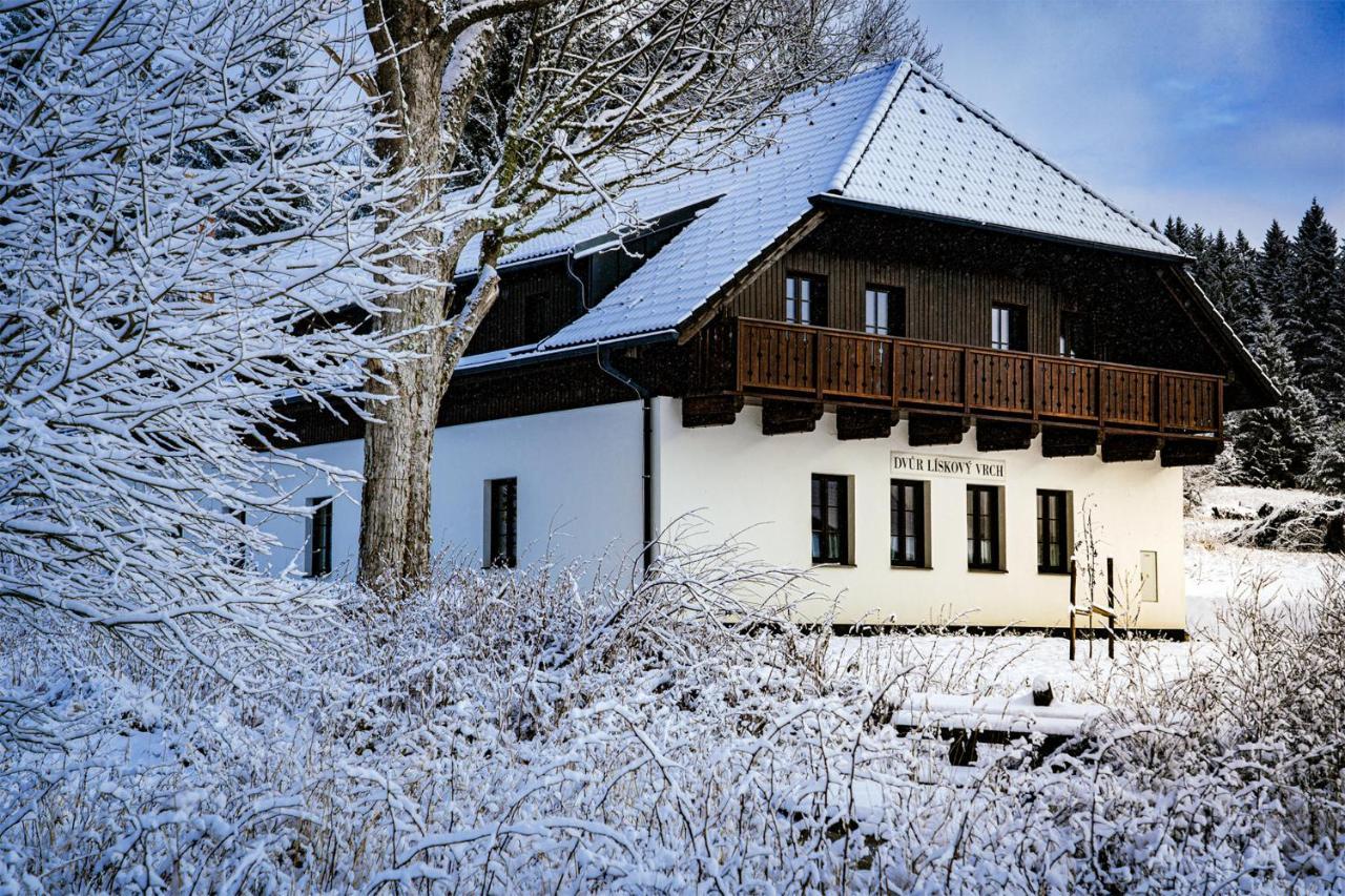 Отель Dvur Liskovy Vrch Стражны Экстерьер фото